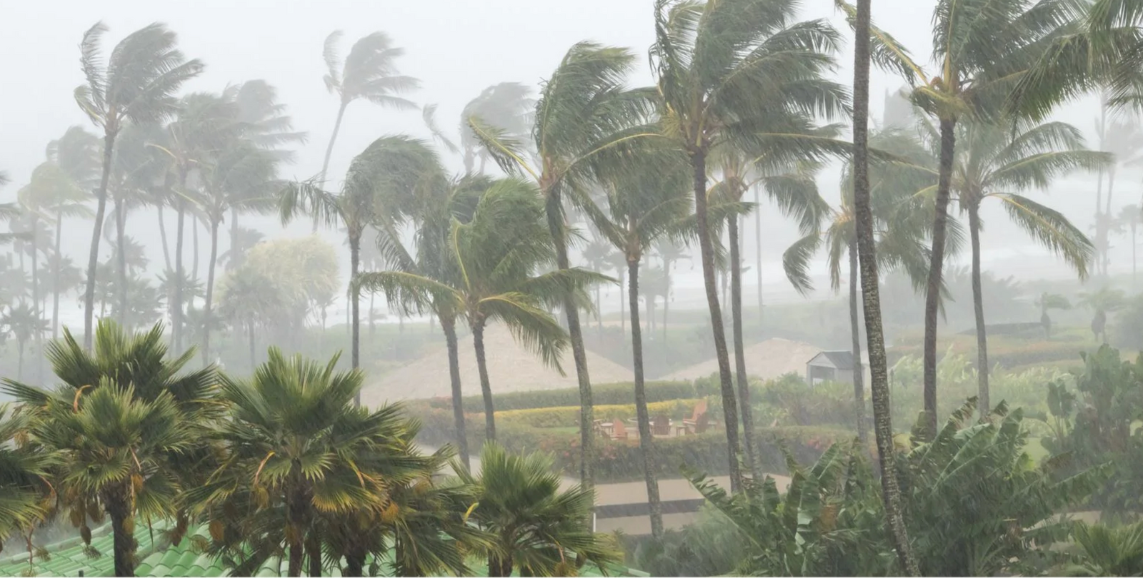 Advanced Hurricane Checklist For Boat Owners 2024