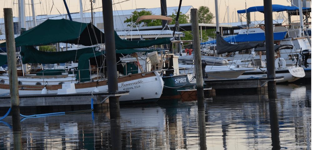 Seabrook Marina News